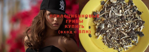 дживик Алексеевка