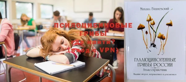дживик Алексеевка