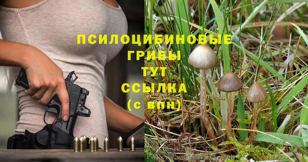 MDMA Алзамай