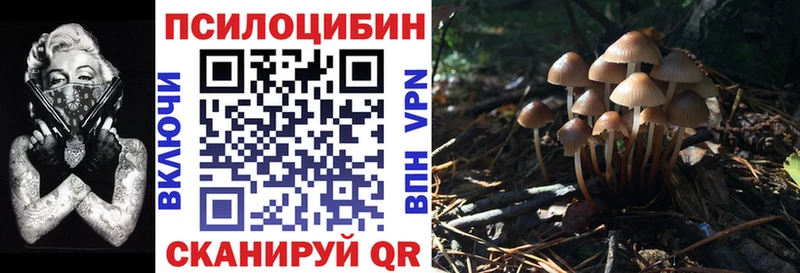 Галлюциногенные грибы GOLDEN TEACHER  Чистополь 