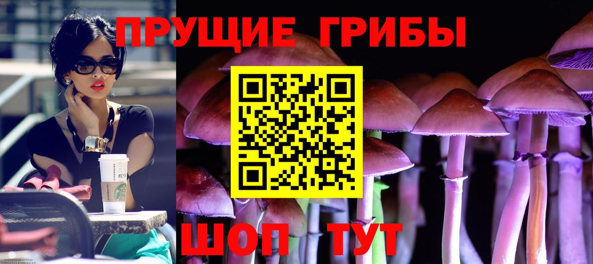 Чистополь  Галлюциногенные грибы Magic Shrooms  Вход с VPN 