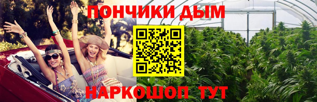 Шишки марихуана планчик Чистополь
